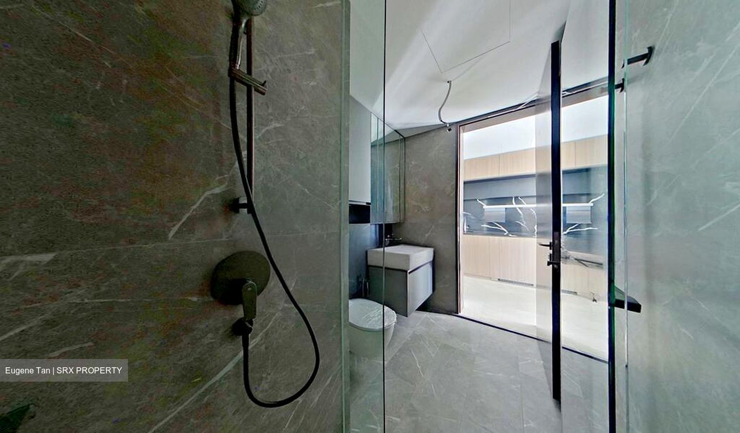 Irwell Hill Residences (D9), Apartment #467673331